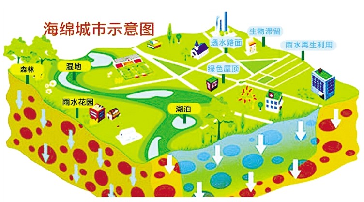 海绵城市 海绵城市